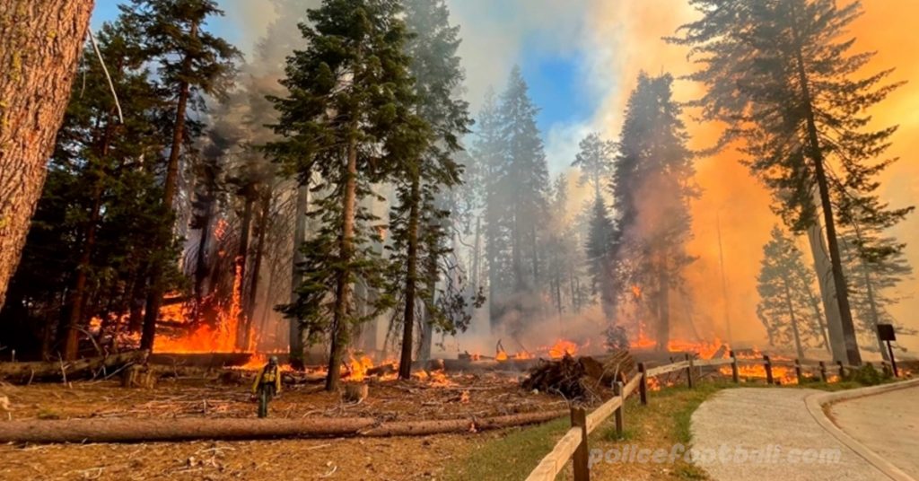 Wildfire nears ในอุทยานแห่งชาติของแคลิฟอร์เนีย ส่วนหนึ่งของอุทยานแห่งชาติโยเซมิตีในรัฐแคลิฟอร์เนียของสหรัฐถูกปิด เจ้าหน้าที่กล่าว