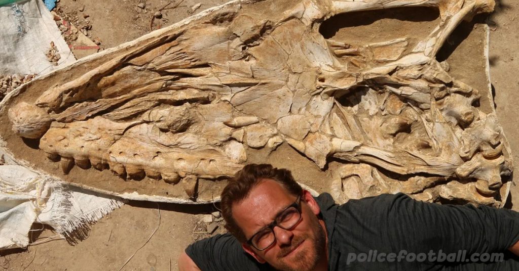พบฟอสซิล ของสัตว์ทะเลยักษ์ 66 ล้านปี นักบรรพชีวินวิทยาได้ค้นพบ mosasaur ใหม่ขนาดใหญ่จากโมร็อกโกชื่อThalassotitan atrox