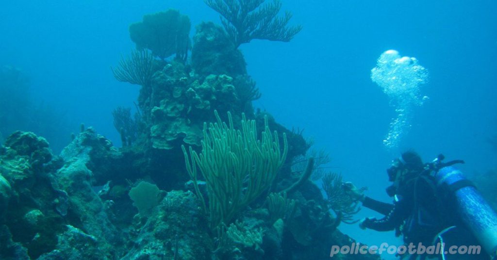 ภาวะโลกร้อน คุกคามปะการังในอ่าวเม็กซิโกและแคริบเบียน แนวปะการังในอ่าวเม็กซิโกและแคริบเบียนเป็นระบบนิเวศที่หลากหลายและมีความ