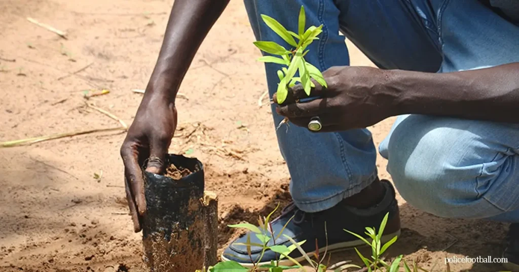 เคนยาประกาศวันหยุดในประเทศ สำหรับการปลูกต้นไม้ รัฐบาลเคนยาประกาศว่าวันจันทร์นี้จะเป็น “วันหยุดพิเศษ” โดยประชาชนทั่วประเทศจะร่วมกัน