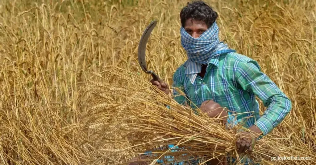 ความปั่นป่วนของเกษตรกรอินเดีย และระบบการเกษตร สหภาพแรงงานเกษตรกรขัดแย้งกับรัฐบาลอินเดีย โดยมองหาหลักประกันราคา ค่าจ้างที่สูงขึ้น